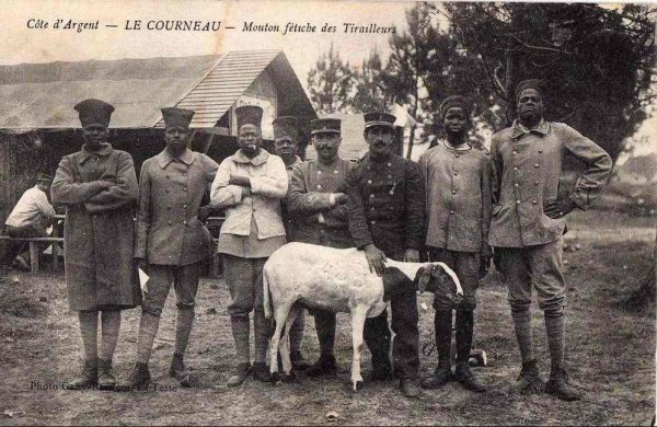 3215081471_1_11_LNeqEzBB